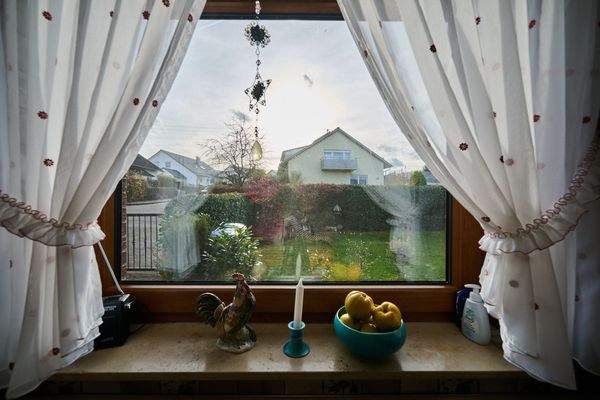 Blick von der Küche in den Vorgarten