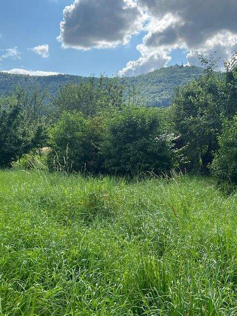 Bissingen an der Teck Grundstücke, Bissingen an der Teck Grundstück kaufen