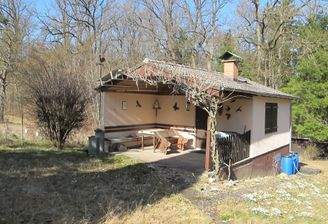 Wochenendhaus mit Plattenwegen, Ziegeldach, Regentonnen.JPG