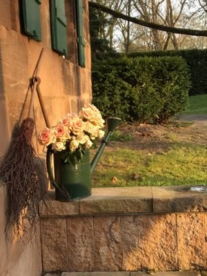 Terrasse im Garten / garden terrace