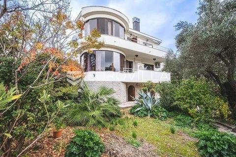 Centar Häuser, Centar Haus kaufen