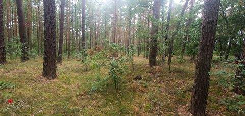Schorfheide Grundstücke, Schorfheide Grundstück kaufen