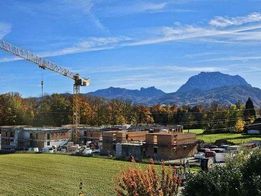 K1024_20251029_125431