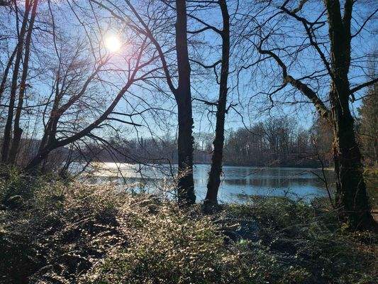 Kahnweiher / Stadtwald