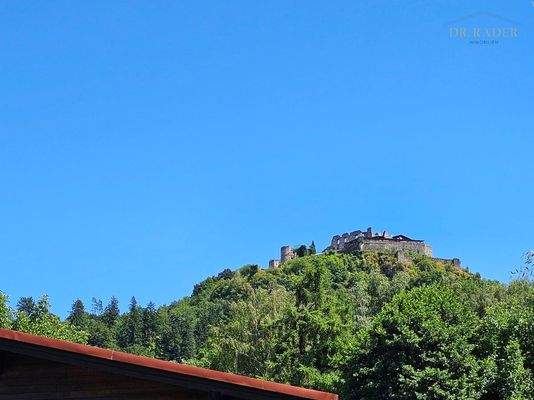 Ausblick auf die Burgruine Landskron