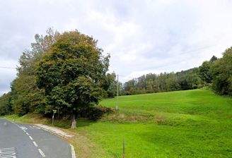 Zufahrt von der Landesstraße