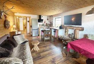 Wohnraum_mit Kuechenbereich.jpeg