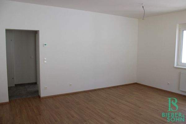 Wohnzimmer - Vorraum