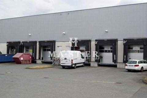 Hoppegarten Halle, Hoppegarten Hallenfläche