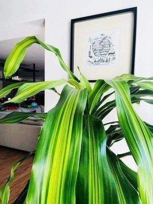 .. Detail verliebt !