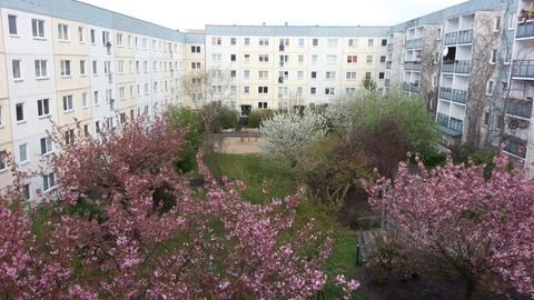 Berlin Wohnungen, Berlin Wohnung kaufen