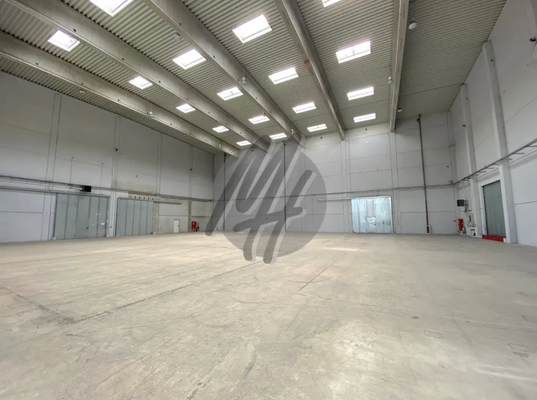 INFOS UNTER: 06171-586000