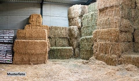 Ruppertsecken Bauernhöfe, Landwirtschaft, Ruppertsecken Forstwirtschaft