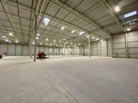 Zeven Halle, Zeven Hallenfläche