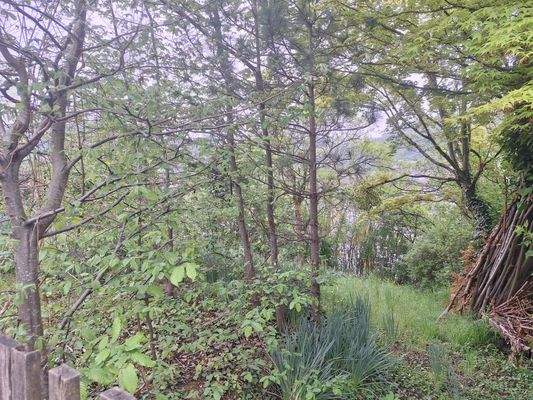 Blick auf angrenzende landwirtschaftliche Fläche