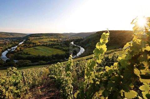 Wiltingen Grundstücke, Wiltingen Grundstück kaufen