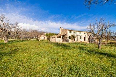 Selva Häuser, Selva Haus kaufen