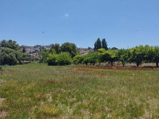 Kreta, Kalyves: Grundstück ideal für Investitionen in Kalyves