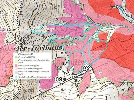 Waldkategorien mit Legende