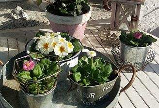 Der Frühling naht.jpg