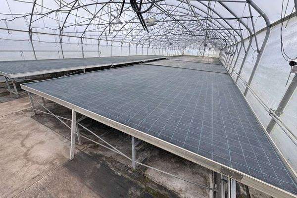 75F82285-D866-43A7-999E-660B712B01D6 (1).png