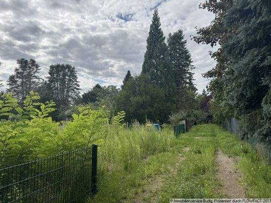 Ende der Sackgasse - links befindet sich das Grundstück