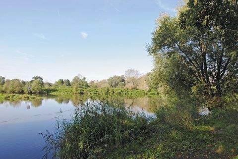Halle (Saale) Wohnungen, Halle (Saale) Wohnung mieten