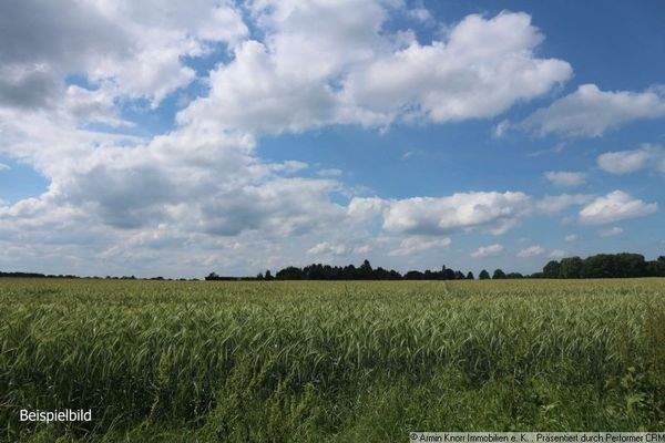Acker Beispielfoto
