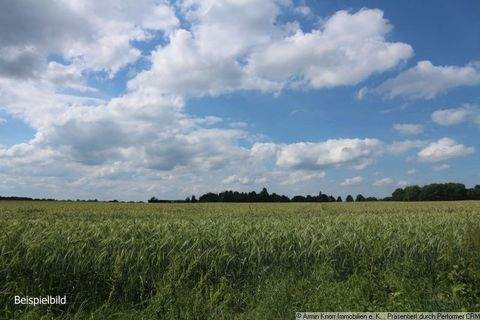 Parchim Bauernhöfe, Landwirtschaft, Parchim Forstwirtschaft