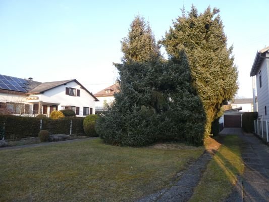 Der Gartenbereich. 