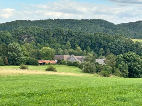 Diemelsee Bauernhöfe, Landwirtschaft, Diemelsee Forstwirtschaft