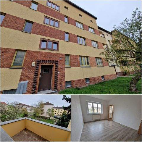 Magdeburg Wohnungen, Magdeburg Wohnung mieten