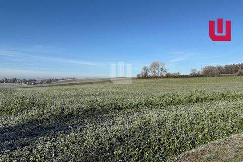 Mittelstetten / Tegernbach Bauernhöfe, Landwirtschaft, Mittelstetten / Tegernbach Forstwirtschaft