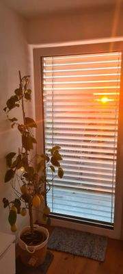 Referenzbild - Ausstattungsdetails Jalousien