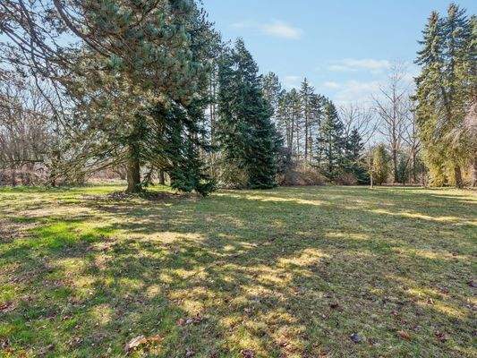 Grundstücksansicht III 