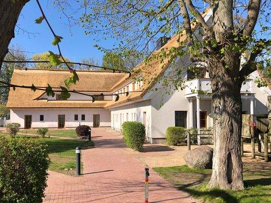 Blick zum Haus - Eingangsseite