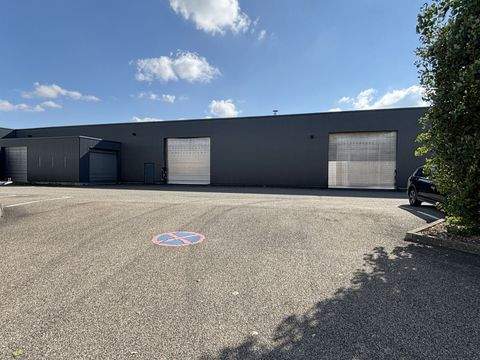 Donzdorf Halle, Donzdorf Hallenfläche