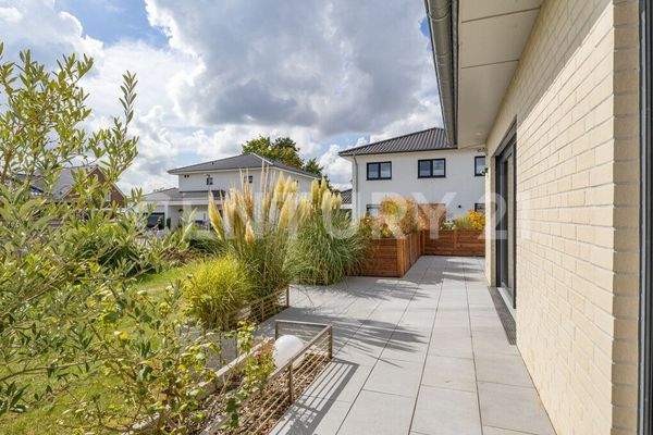 Blick auf die eingewachsene Süd-Terrasse