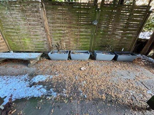 Terrasse |&nbsp;Ebene 1