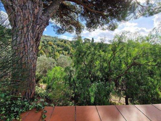 54LAzienda_ agricola_Toskana.jpg