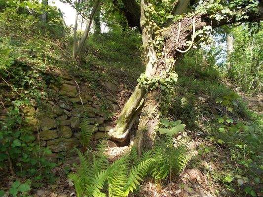 durch das Grundtsück