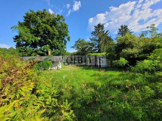 20250813_095137 mit Wasserzeichen.jpg