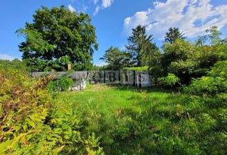 20250813_095137 mit Wasserzeichen.jpg