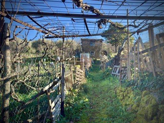 DA997_05_TERRA ITALIA IMMOBILIEN_REAL ESTATE_LAND_