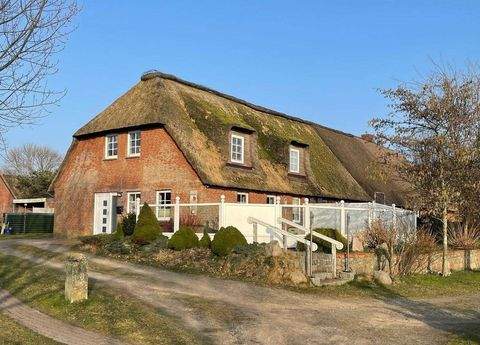 Bordelum Häuser, Bordelum Haus kaufen