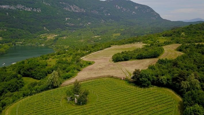 Trento-Trient-Lago-di-Terlago-Weingut-Wein-Vigneto-vino-Costruire-casa-bauen-Grundstück