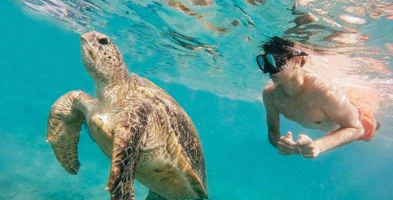 Brochure - Shura and Laheq-135