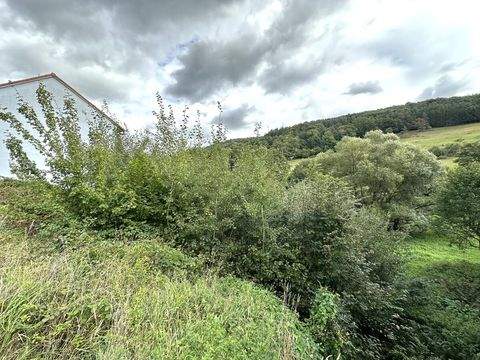 Heimbuchenthal Grundstücke, Heimbuchenthal Grundstück kaufen