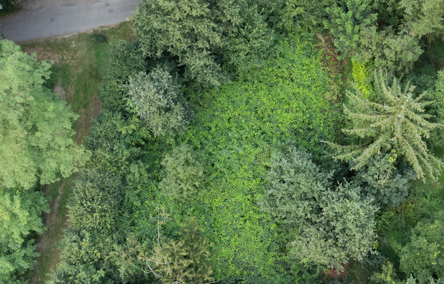 Screenshot at Oct 05 14-44-45