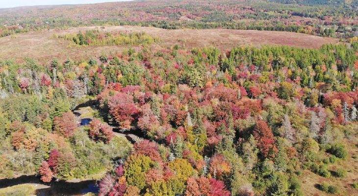 Nova Scotia - 25 Hektar großes Areal mit ehemalige